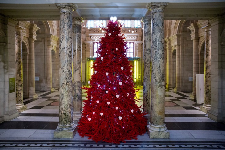 the-va-2013-christmas-tree-by-helen-and-colin-david